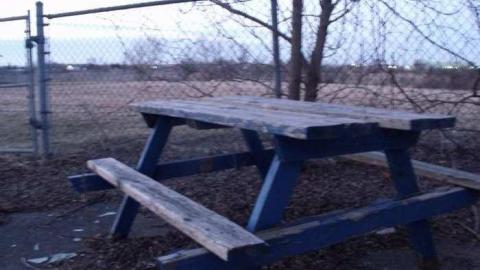 Walk Around - DSCF2205.jpg