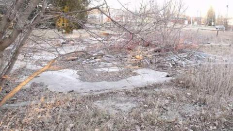 6th Line Farm photo 3