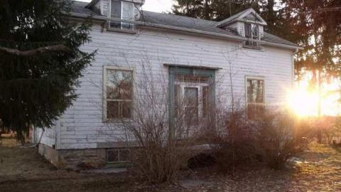 6th Line Farm photo 4