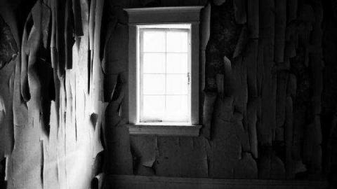 Gallery - High-Park-Houses7.jpg