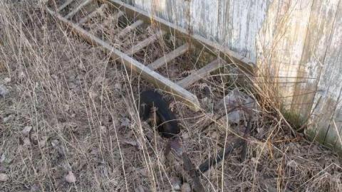 6th Line Farm - Halton Hills, Ontario