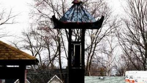 Sun Luck Gardens photo 4