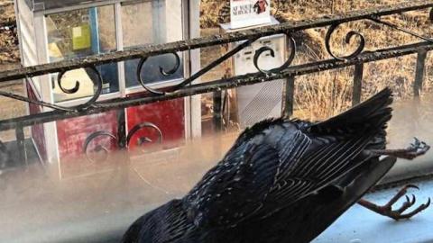 Photo from Expecto Petroleum