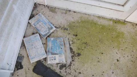 White On Wallace photo 4