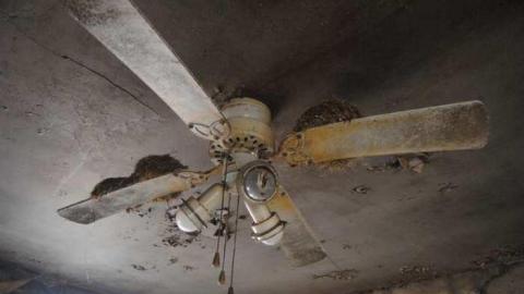 April 2013 - DSC_0535.jpg