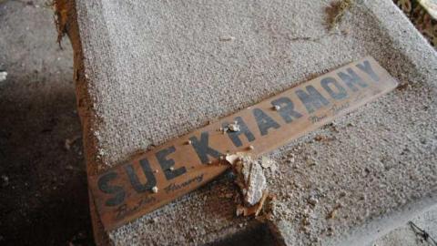 April 2013 - DSC_0537.jpg