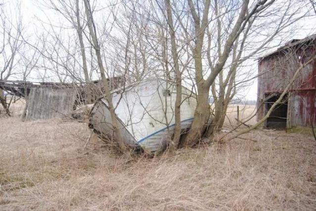 Harmony Farm photo 3