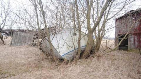 Harmony Farm photo 3