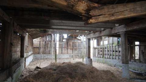 April 2013 - DSC_0554.jpg