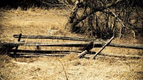 Lovely House - Airport-Parkway10.jpg