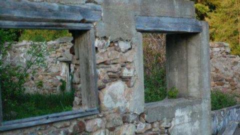 Stone Ruins Belfountain photo 4