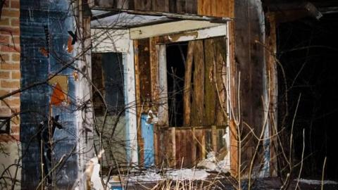 Photo from In the dark