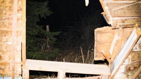 In the dark - IMG_5202.jpg