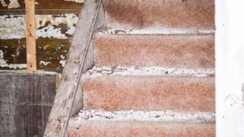 In the dark - IMG_5203.jpg