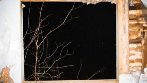 In the dark - IMG_5210.jpg