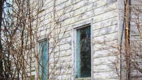 Pretty in Pine - IMG_5100.jpg