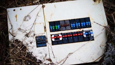 Pretty in Pine - IMG_5105.jpg