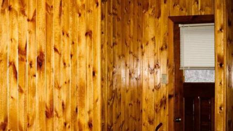 Pretty in Pine - IMG_5109.jpg