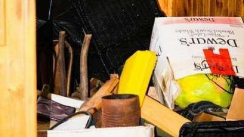 Pretty in Pine - IMG_5113.jpg