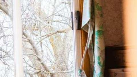 Pretty in Pine - IMG_5116.jpg