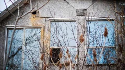 Pretty in Pine - IMG_5124.jpg