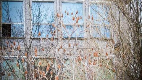 Photo from Pretty in Pine