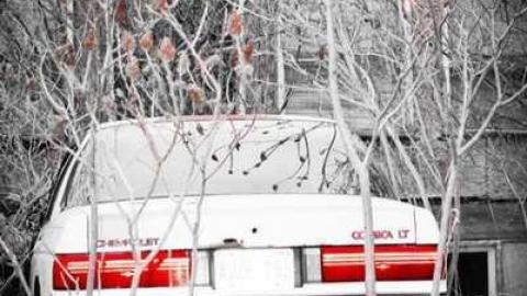 Photo from Pretty in Pine