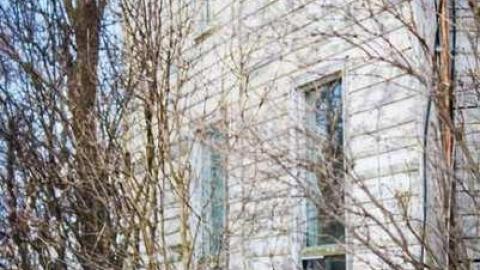 Pretty in Pine - IMG_5131.jpg