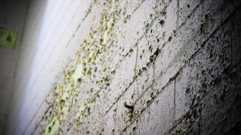 Photo from The Old Raceway