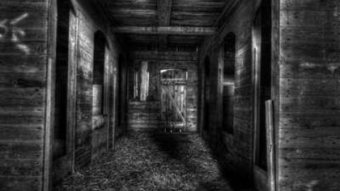 Gallery - _MG_stall_4th_line_small.jpg