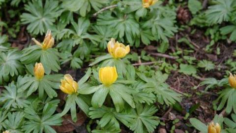 Photo from Exterior Only