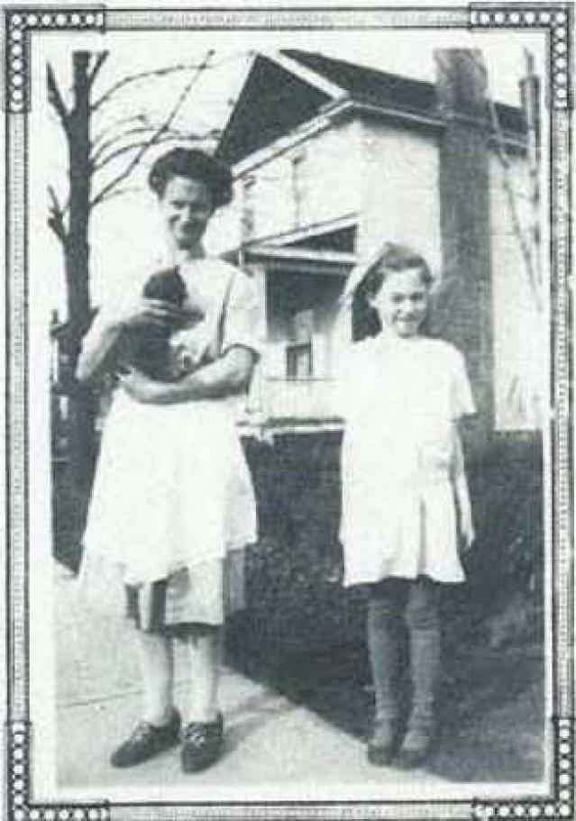 Winzer On Kerr - Oakville, Ontario