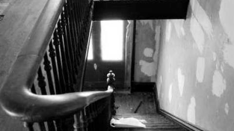 Swamp College House - Swamp-College-House80.jpg