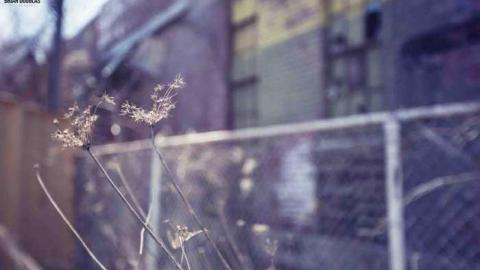 Photo from To the cleaners