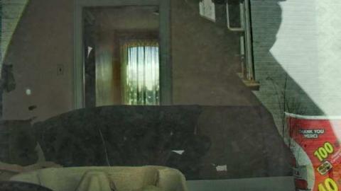 War On Weber - Weber-Fever5.jpg