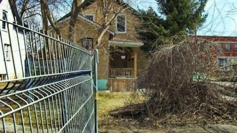 War On Weber - Weber-Fever6.jpg