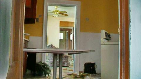 War On Weber - Weber-Fever7.jpg