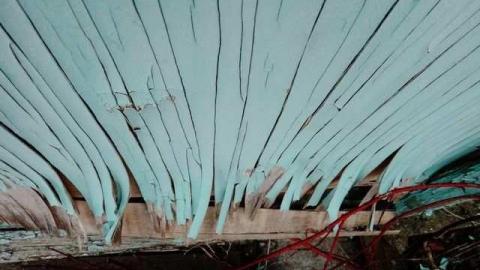 Apple Char 04/2013 - Apple-Orchard-House19.jpg