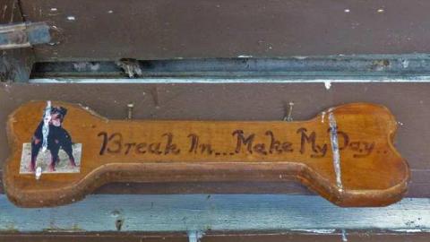 April 8, 2013 - P1010596e.jpg