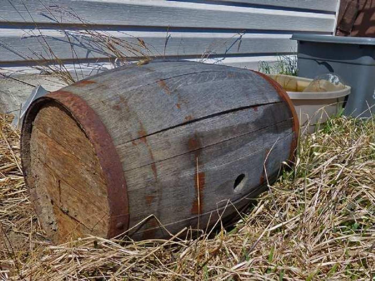 April 8, 2013 - P1010598e.jpg