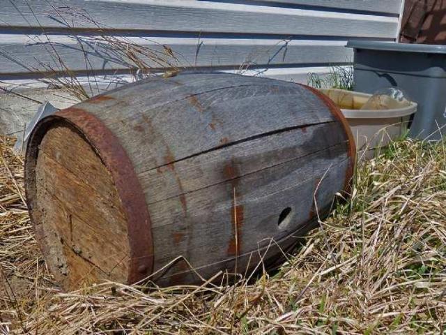 April 8, 2013 - P1010598e.jpg