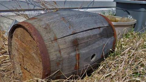 April 8, 2013 - P1010598e.jpg