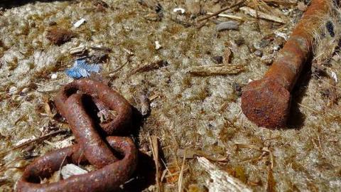 April 8, 2013 - P1010599e.jpg