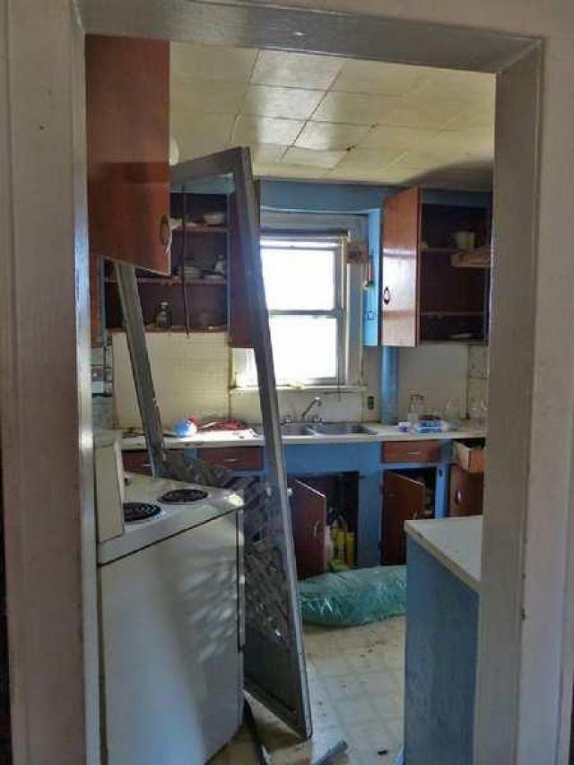 April 8, 2013 - P1010600e.jpg