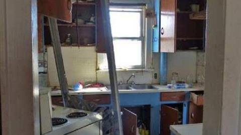 April 8, 2013 - P1010600e.jpg