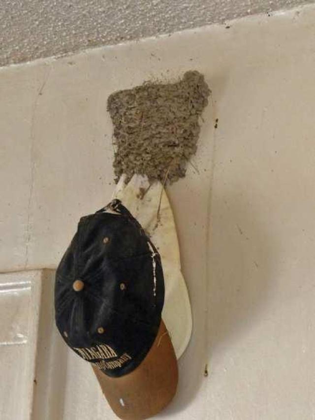 April 8, 2013 - P1010601e.jpg