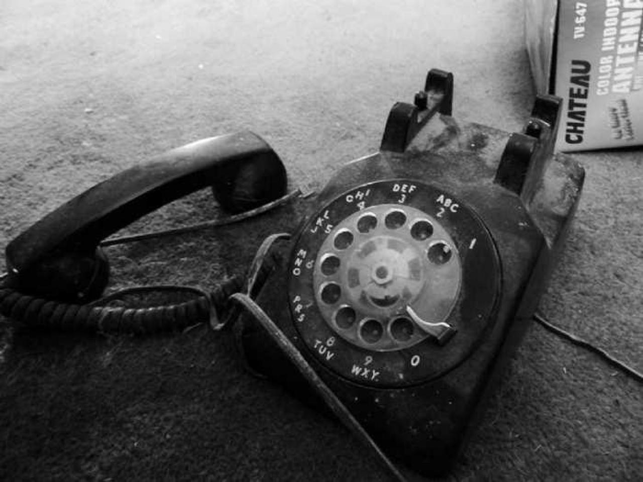 April 8, 2013 - P1010603e.jpg