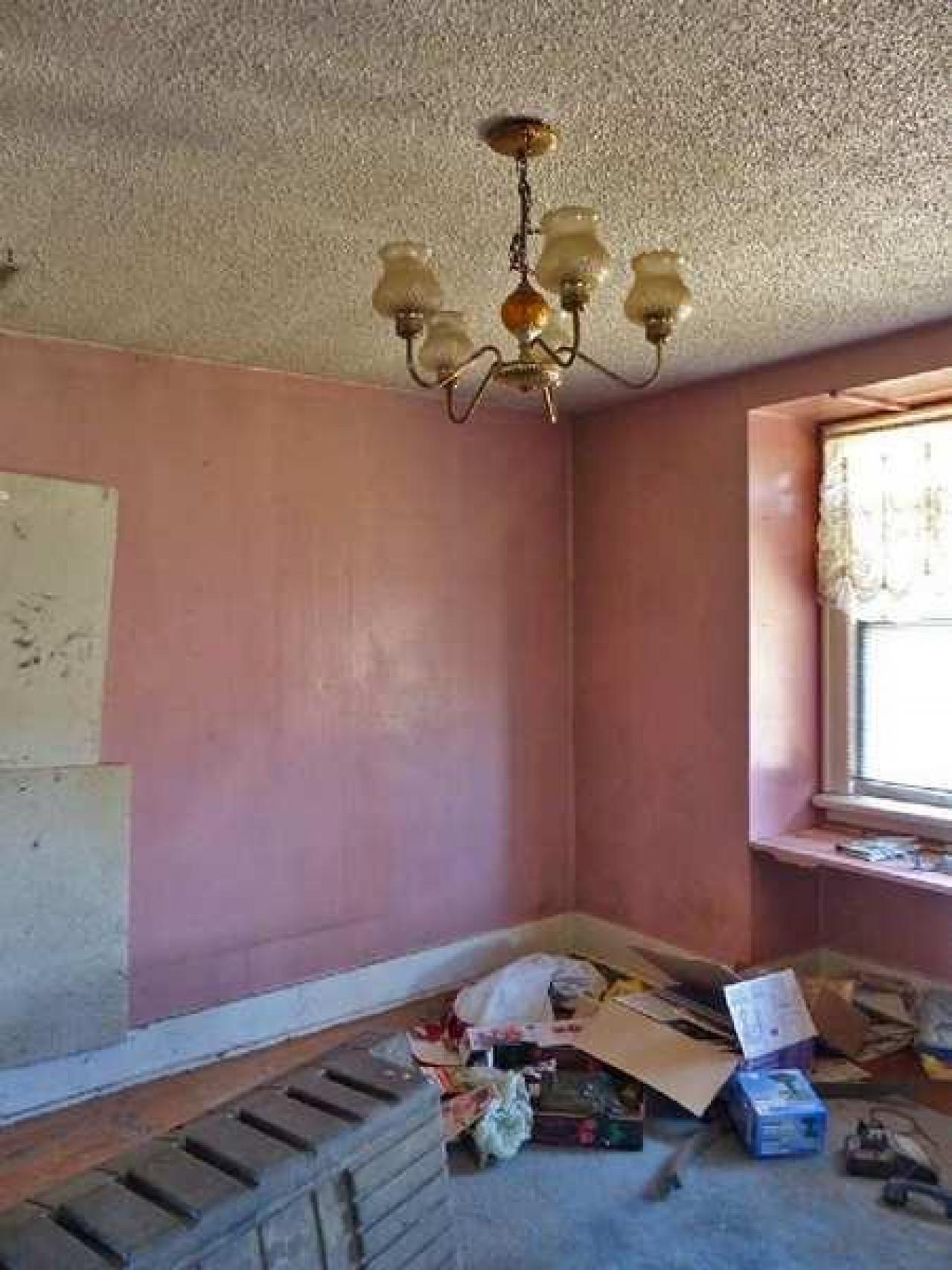 April 8, 2013 - P1010604e.jpg