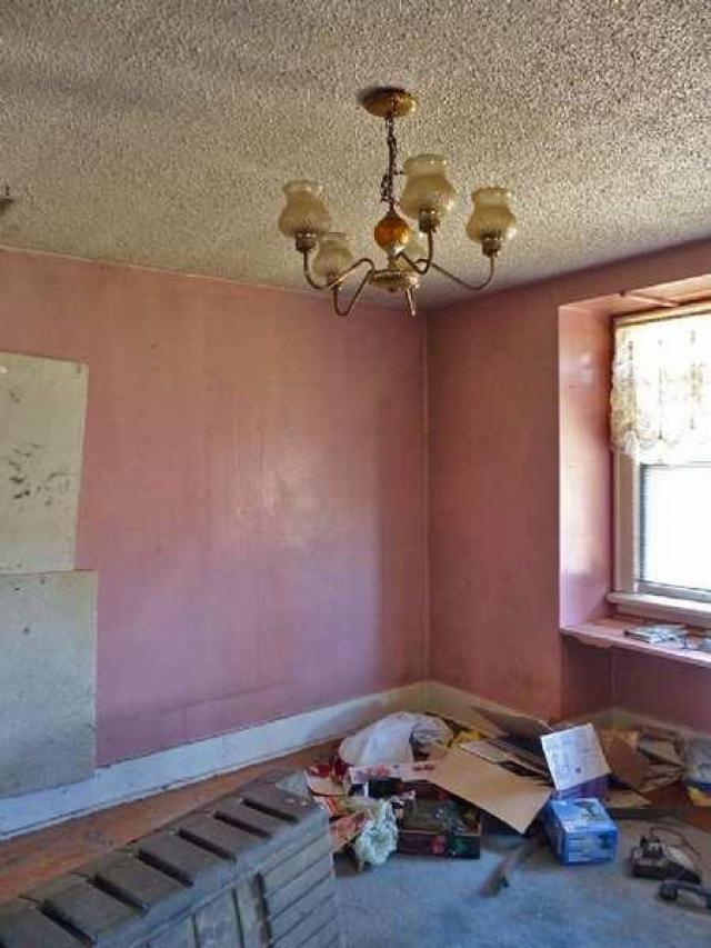 April 8, 2013 - P1010604e.jpg