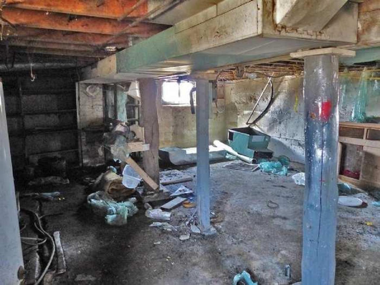 April 8, 2013 - P1010608e.jpg